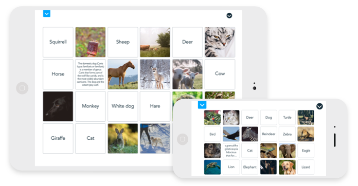 Image with missing alt attribute found on nearpod.com