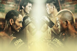 Image with missing alt attribute found on onefc.com