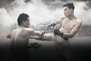 Image with missing alt attribute found on onefc.com