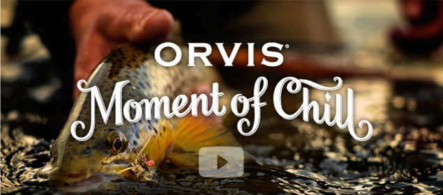 Image with missing alt attribute found on orvis.com