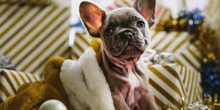 Image with missing alt attribute found on shazoo.ru