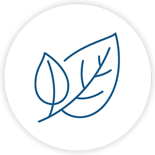 Image with missing alt attribute found on sunwarrior.com