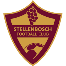 Stellenbosch's flag