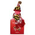 Maryland Flag / Wine Bottle Cap & Scarf Product Image