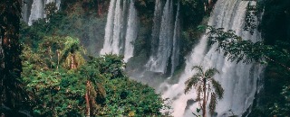 Image with missing alt attribute found on statista.com