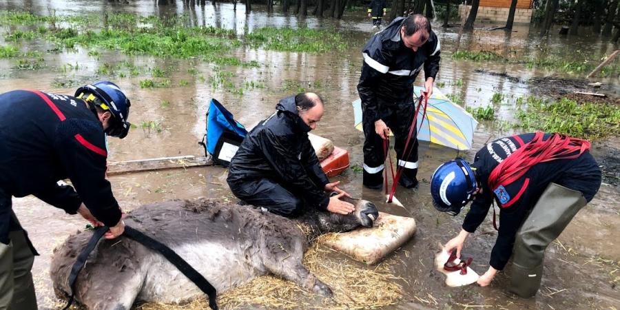 Image with missing alt attribute found on nicematin.com