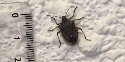 Image with missing alt attribute found on varmatin.com