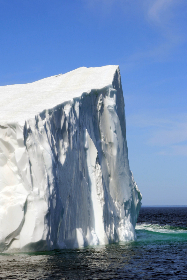 Image with missing alt attribute found on stocksnap.io