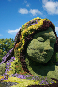 Image with missing alt attribute found on stocksnap.io