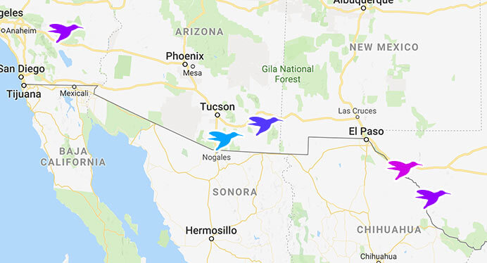 Image with missing alt attribute found on thinglink.com