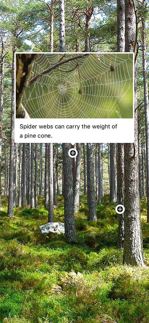 Image with missing alt attribute found on thinglink.com