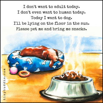 Image with missing alt attribute found on tinybuddha.com