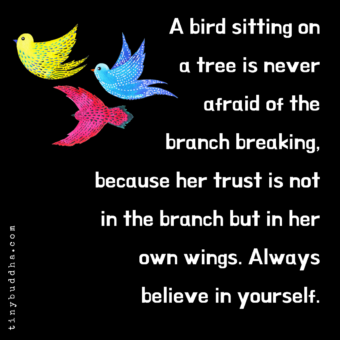 Image with missing alt attribute found on tinybuddha.com