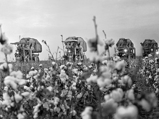 Image with missing alt attribute found on tvc.ru