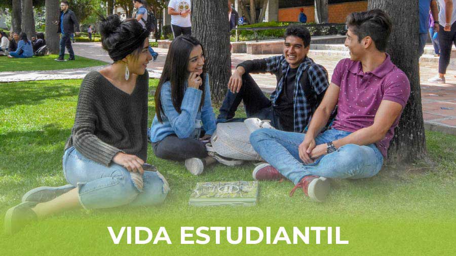 Image with missing alt attribute found on udlap.mx