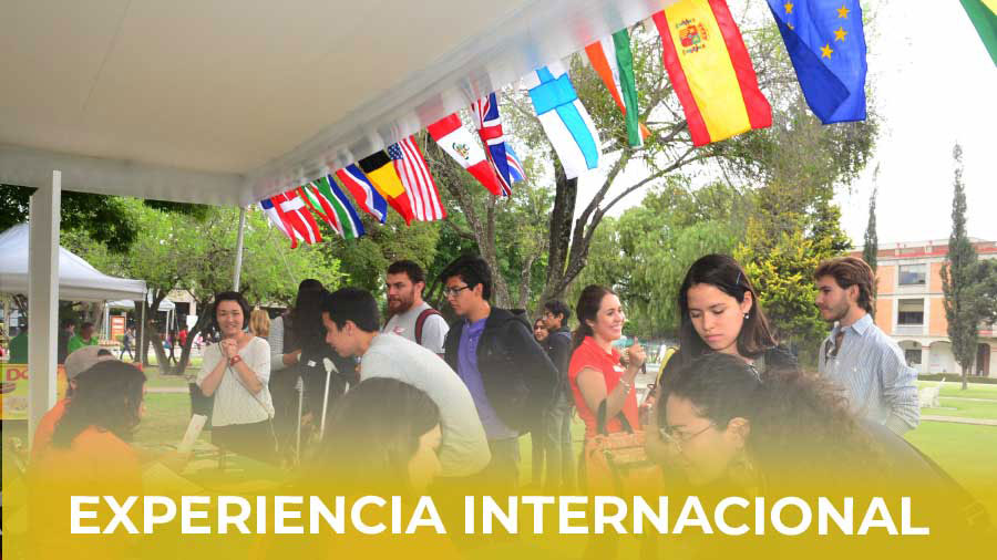 Image with missing alt attribute found on udlap.mx