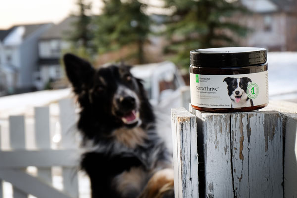 Image with missing alt attribute found on ultimatepetnutrition.com