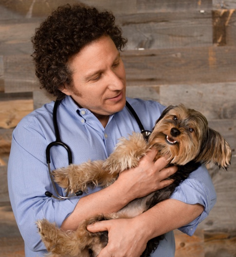 Image with missing alt attribute found on ultimatepetnutrition.com