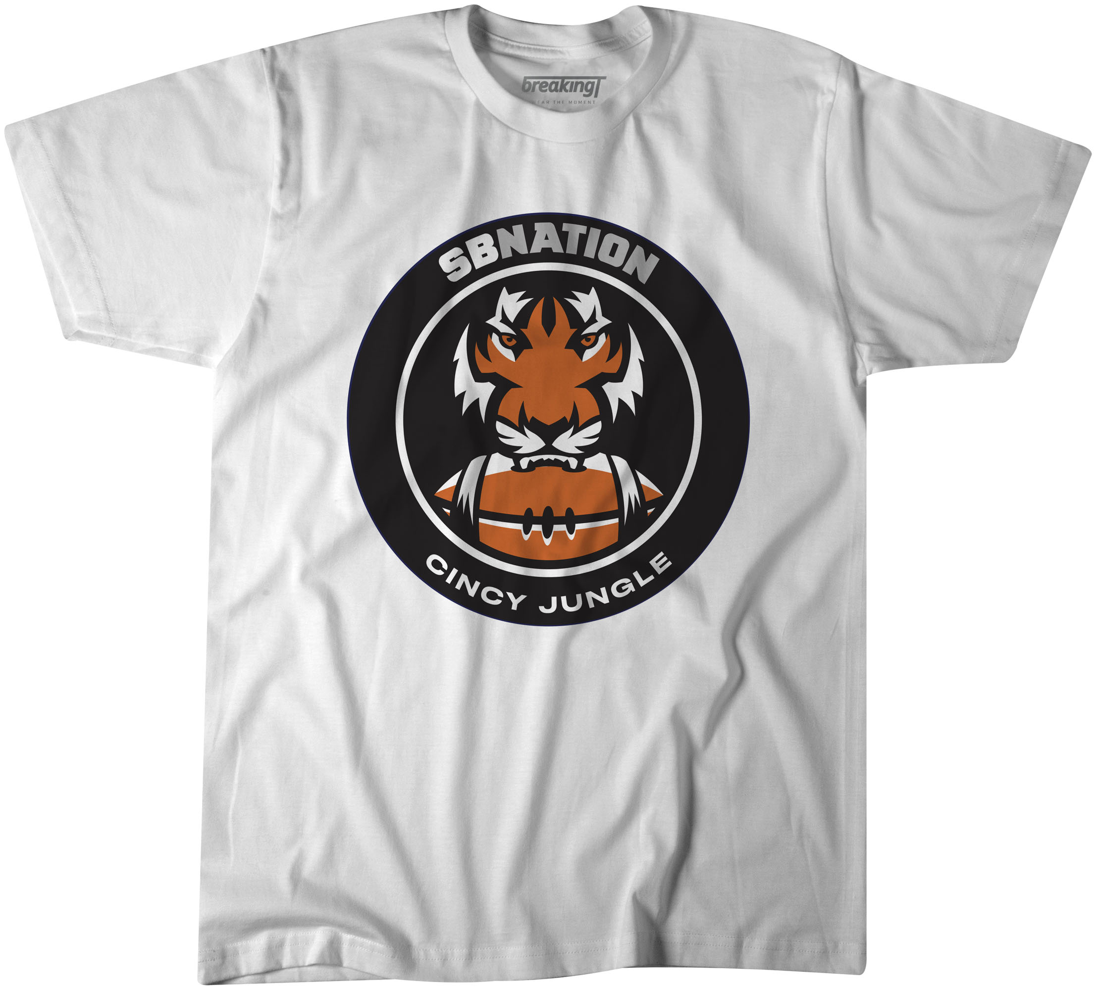 Image with missing alt attribute found on cincyjungle.com