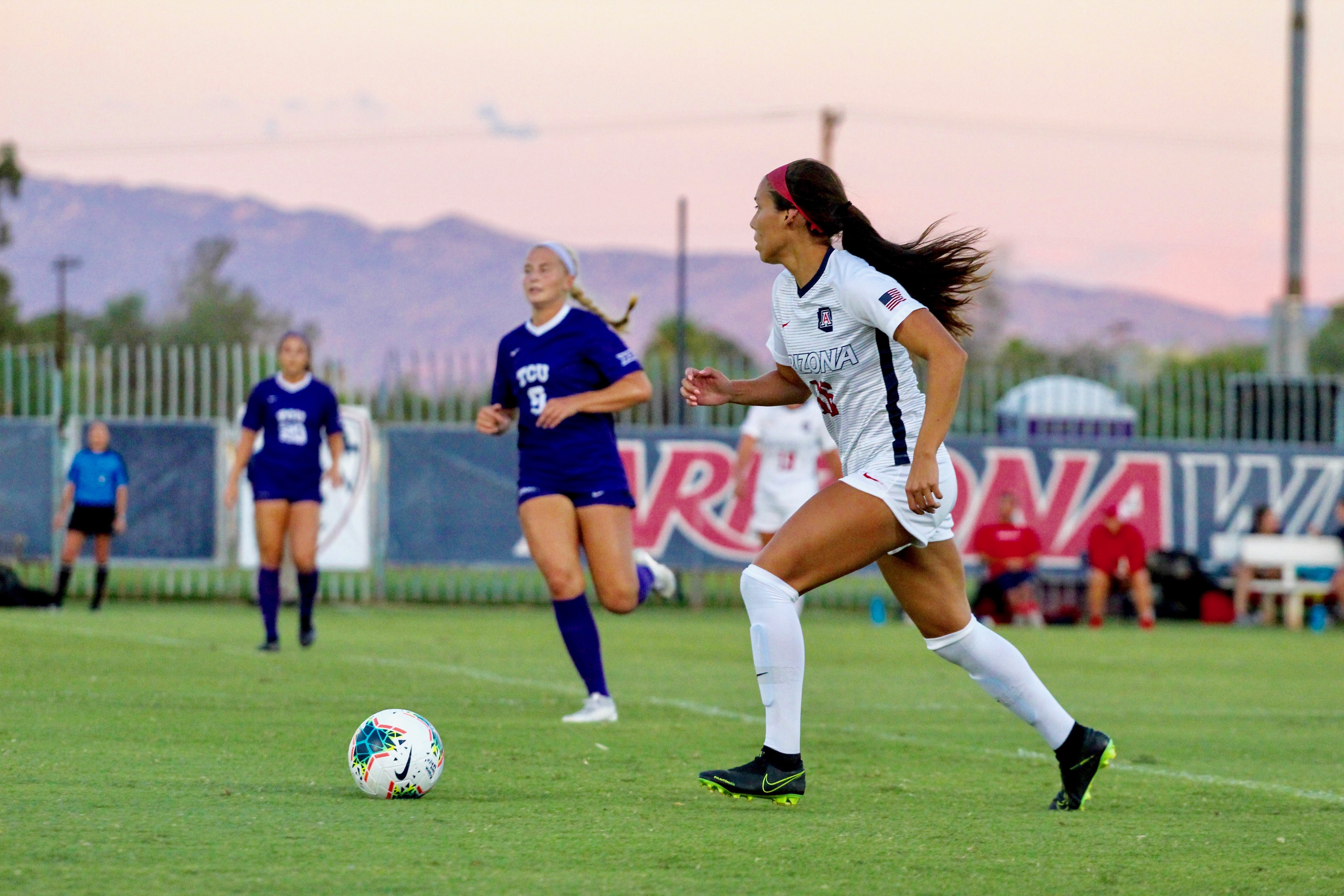 Image with missing alt attribute found on azdesertswarm.com