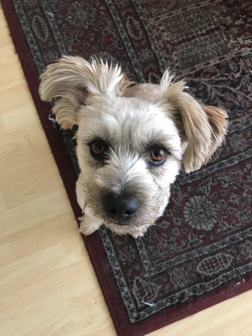 Image with missing alt attribute found on fieldgulls.com