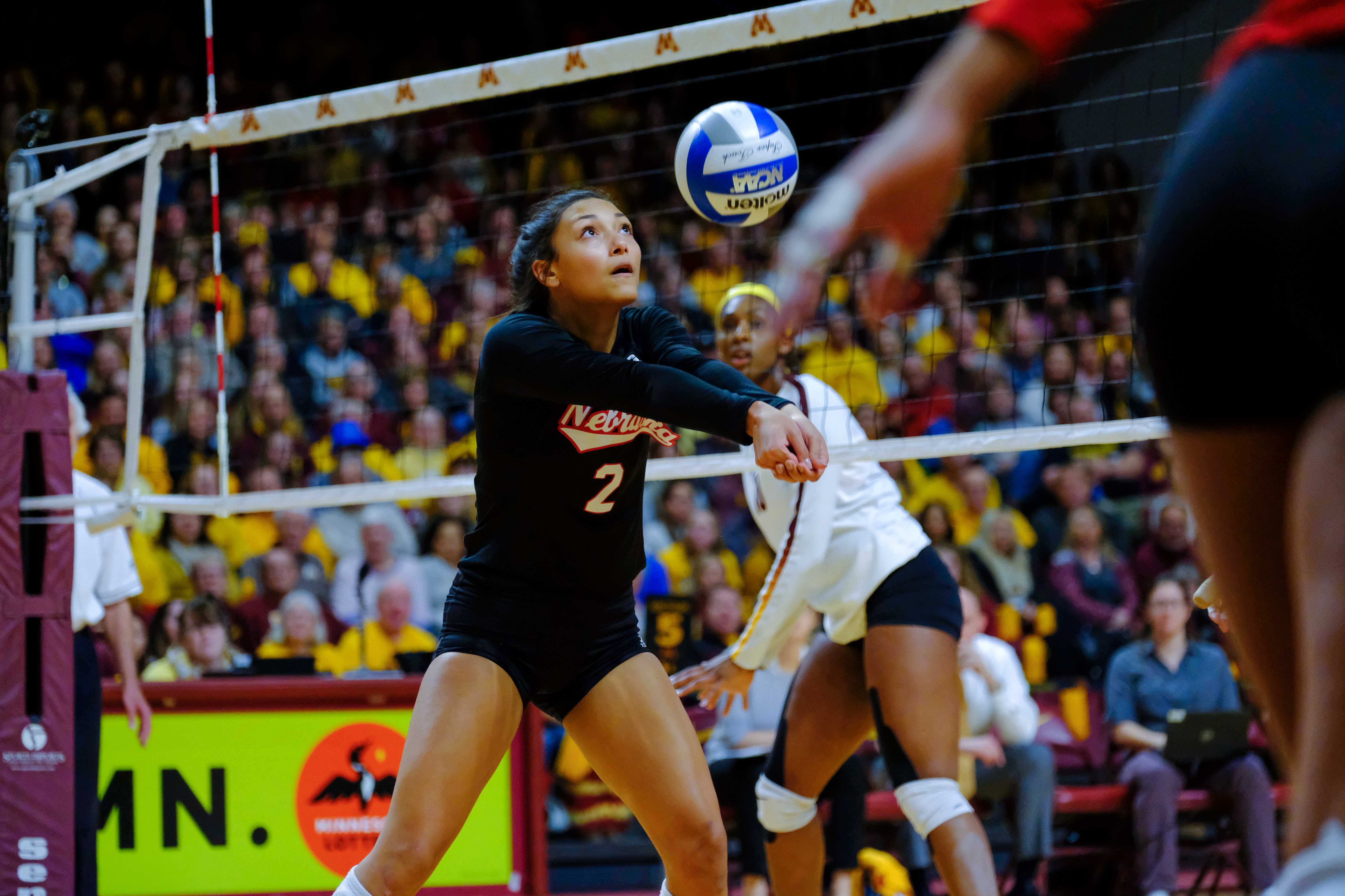 Image with missing alt attribute found on cornnation.com