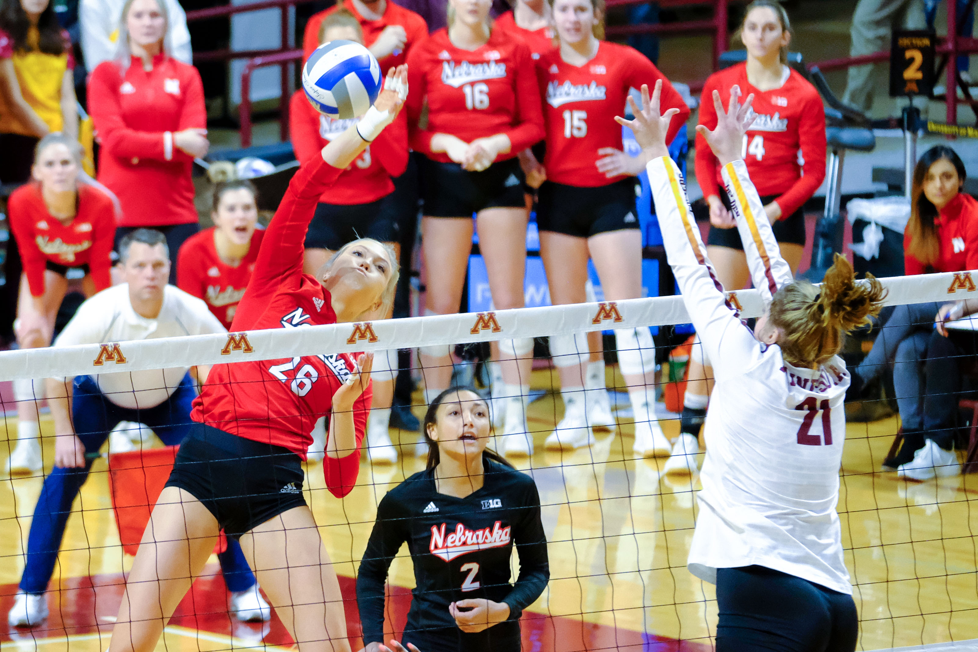 Image with missing alt attribute found on cornnation.com