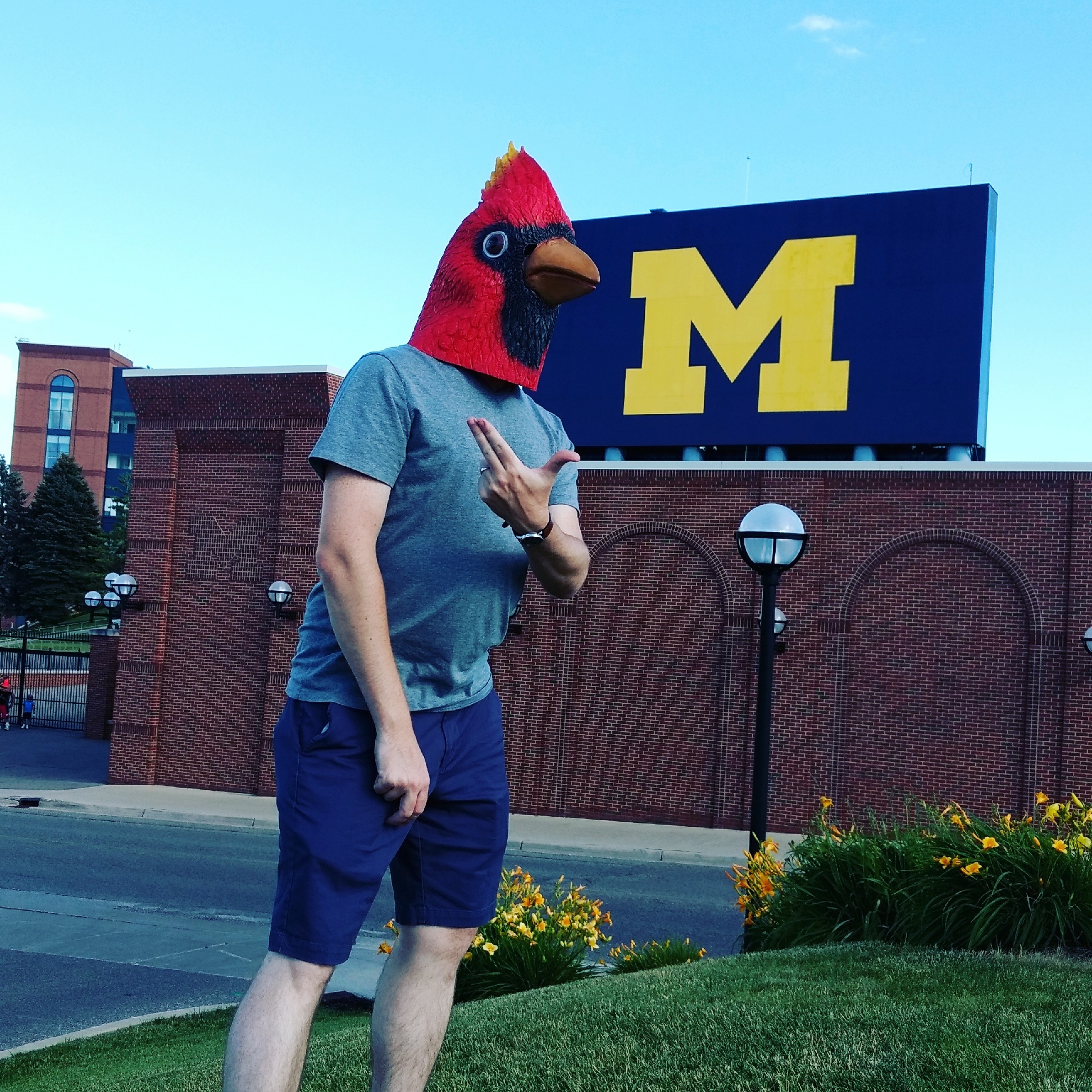 Image with missing alt attribute found on cardchronicle.com