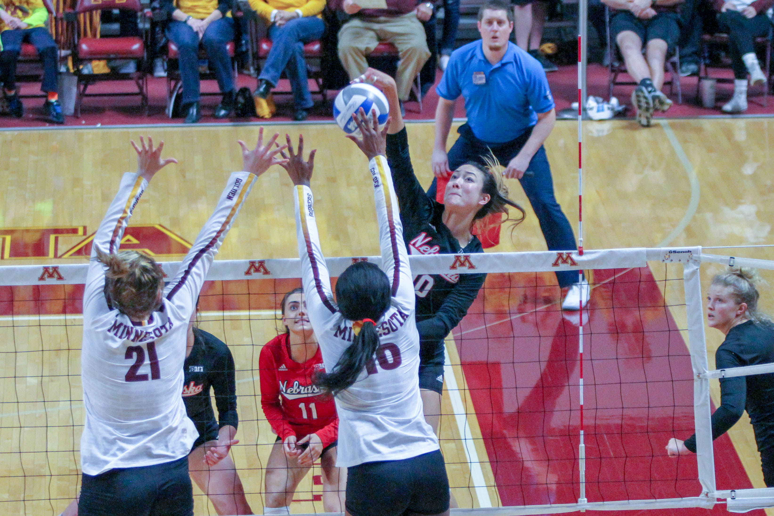 Image with missing alt attribute found on cornnation.com