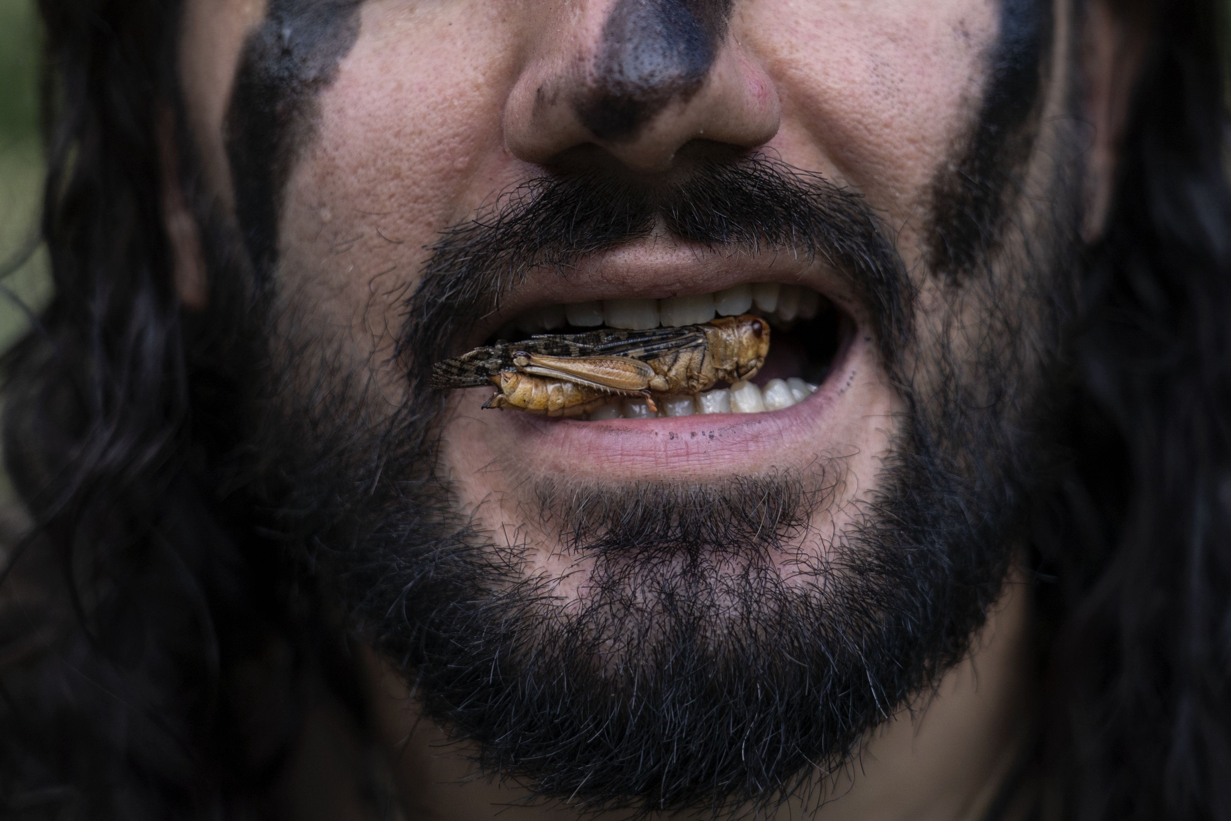 Image with missing alt attribute found on cornnation.com