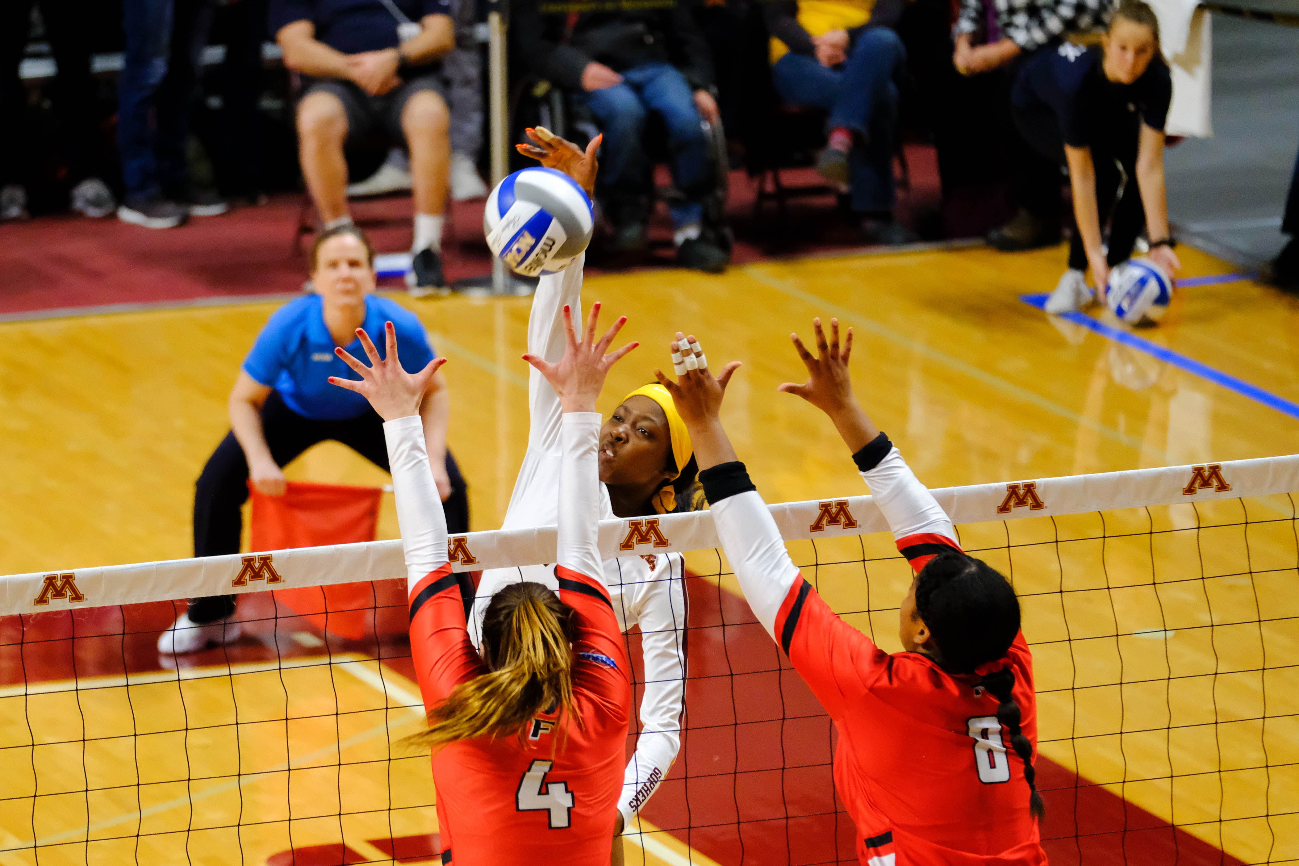 Image with missing alt attribute found on thedailygopher.com