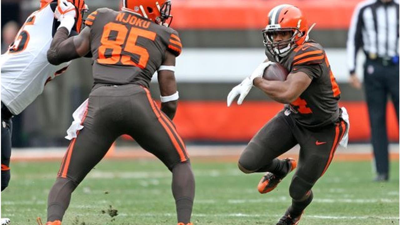 Image with missing alt attribute found on dawgsbynature.com