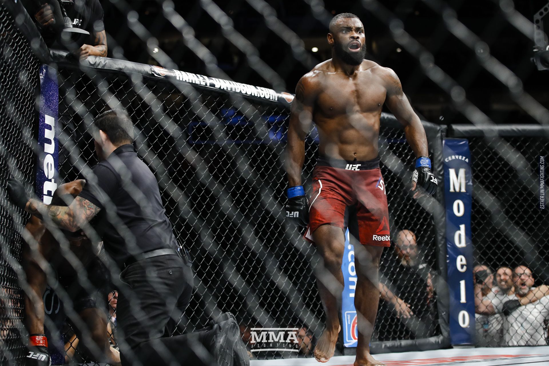 Image with missing alt attribute found on mmafighting.com