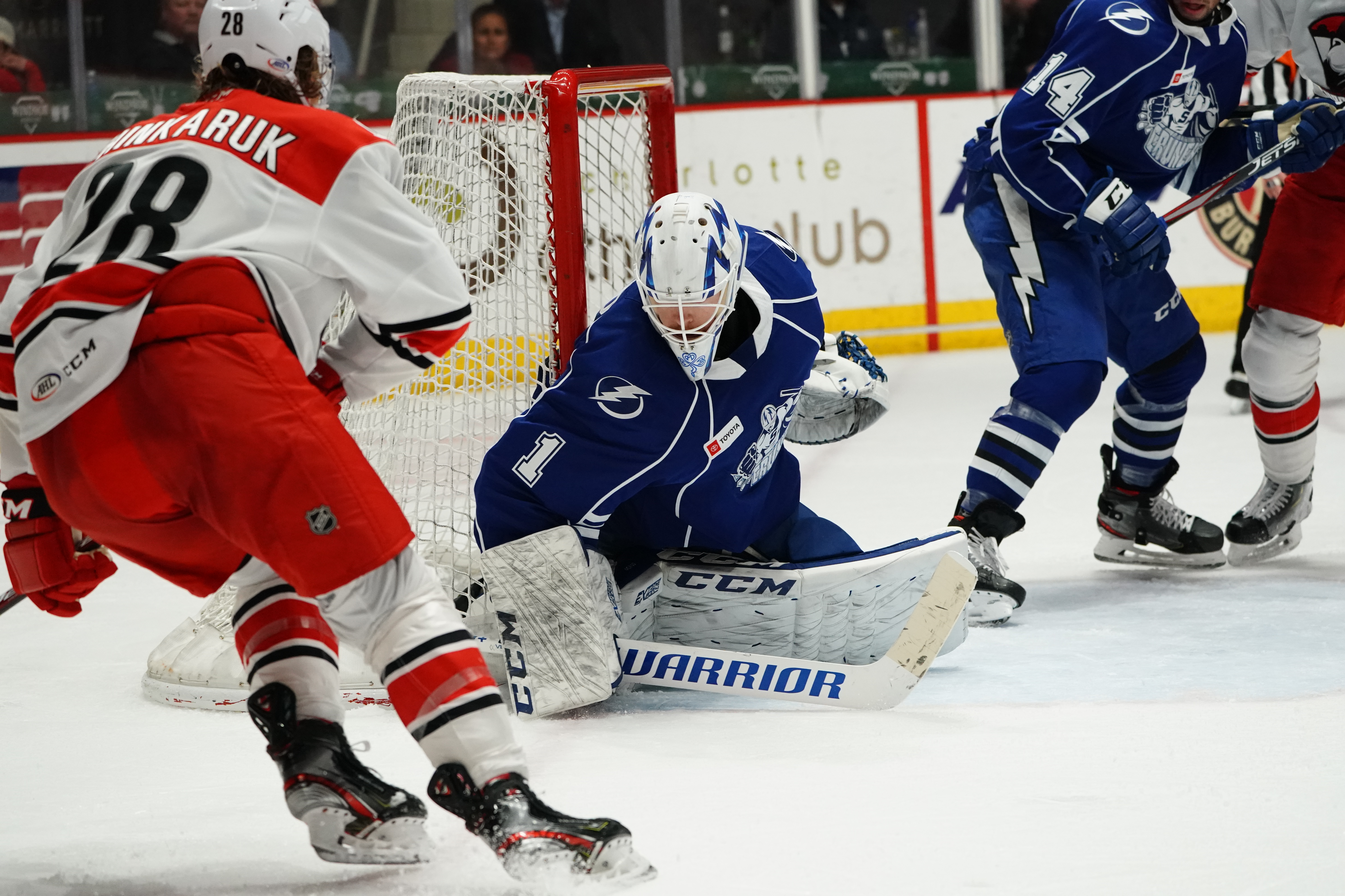 Image with missing alt attribute found on canescountry.com