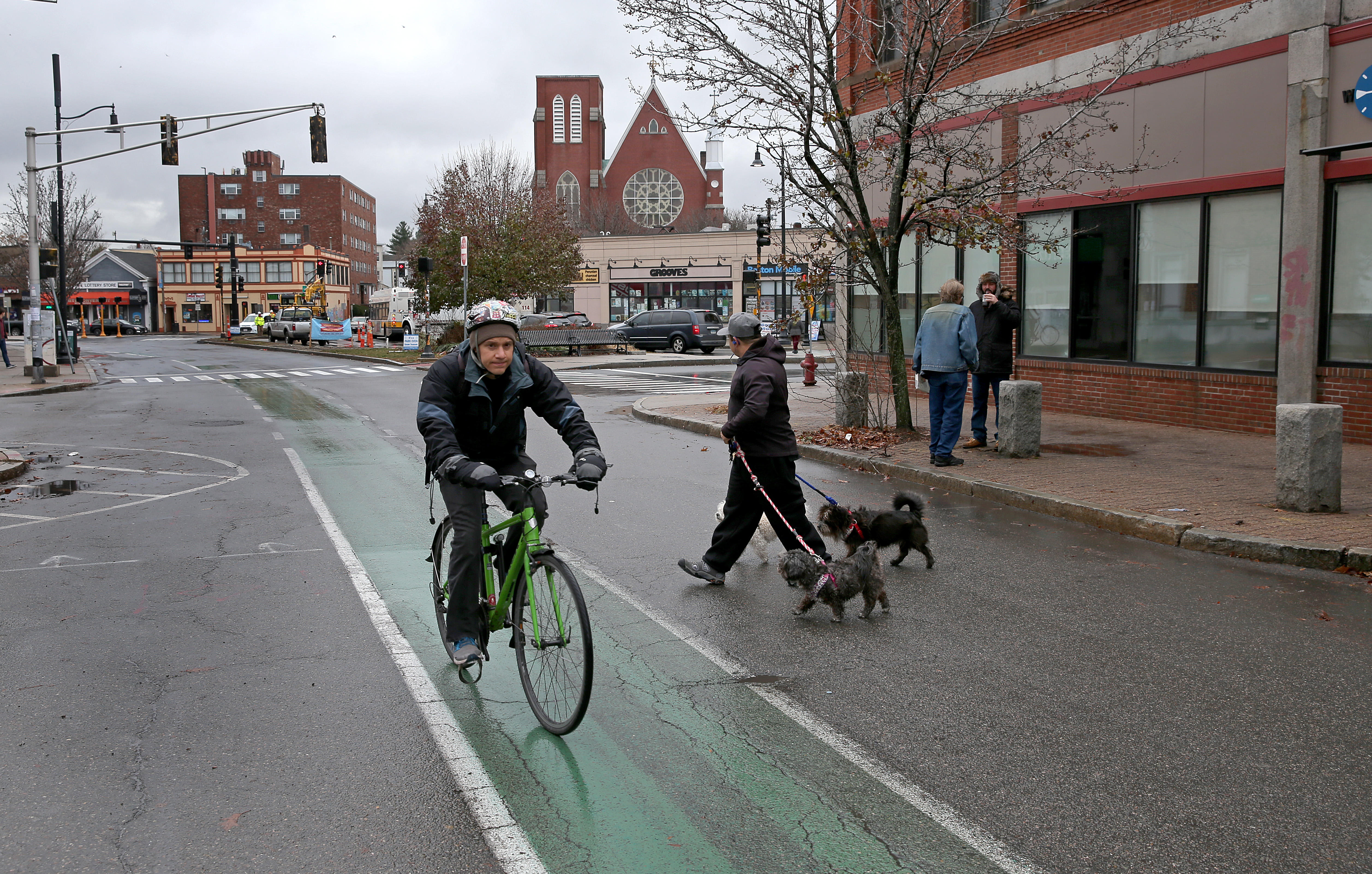 A biker going down a bike lane while a pedestrian walking two dogs walks behind him.