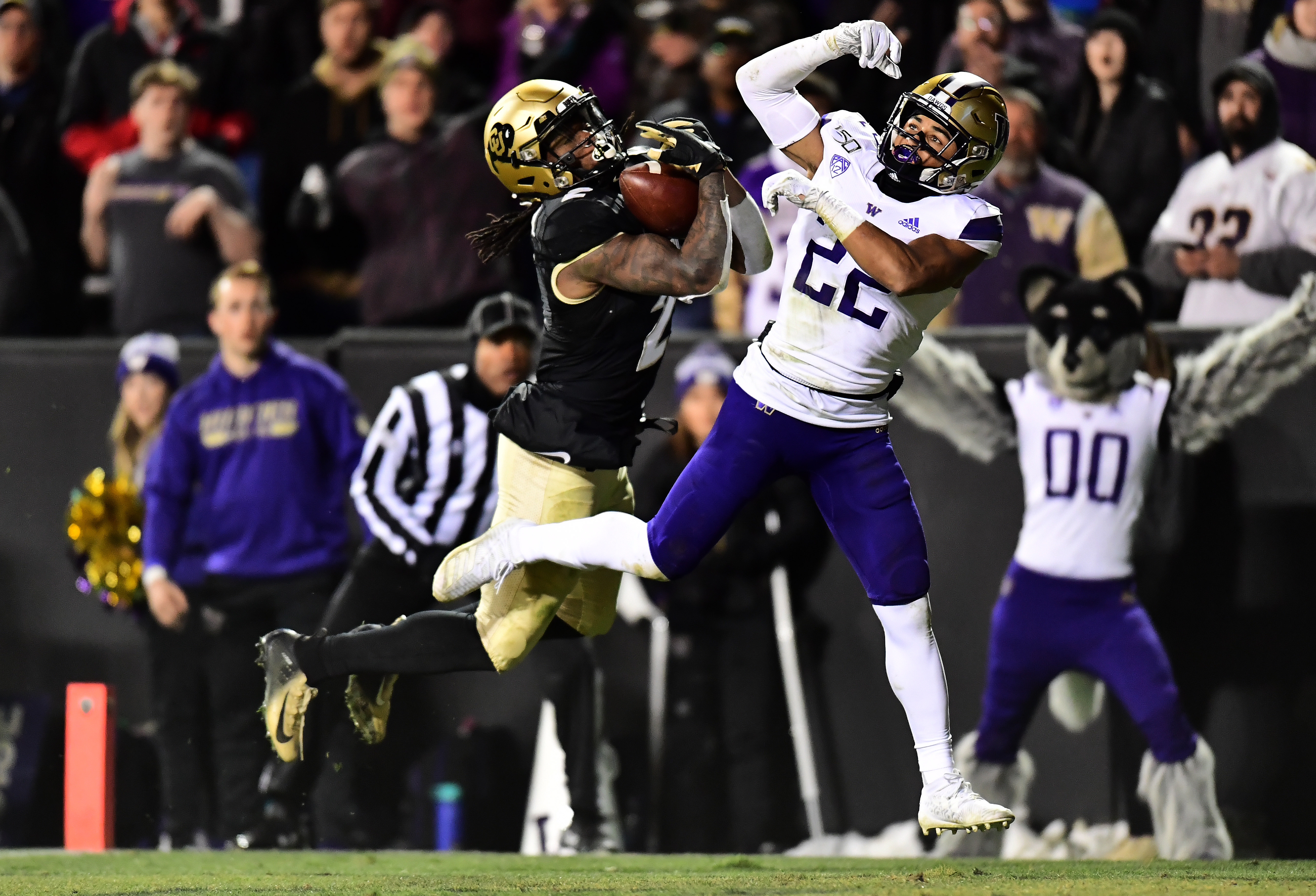 Image with missing alt attribute found on canalstreetchronicles.com