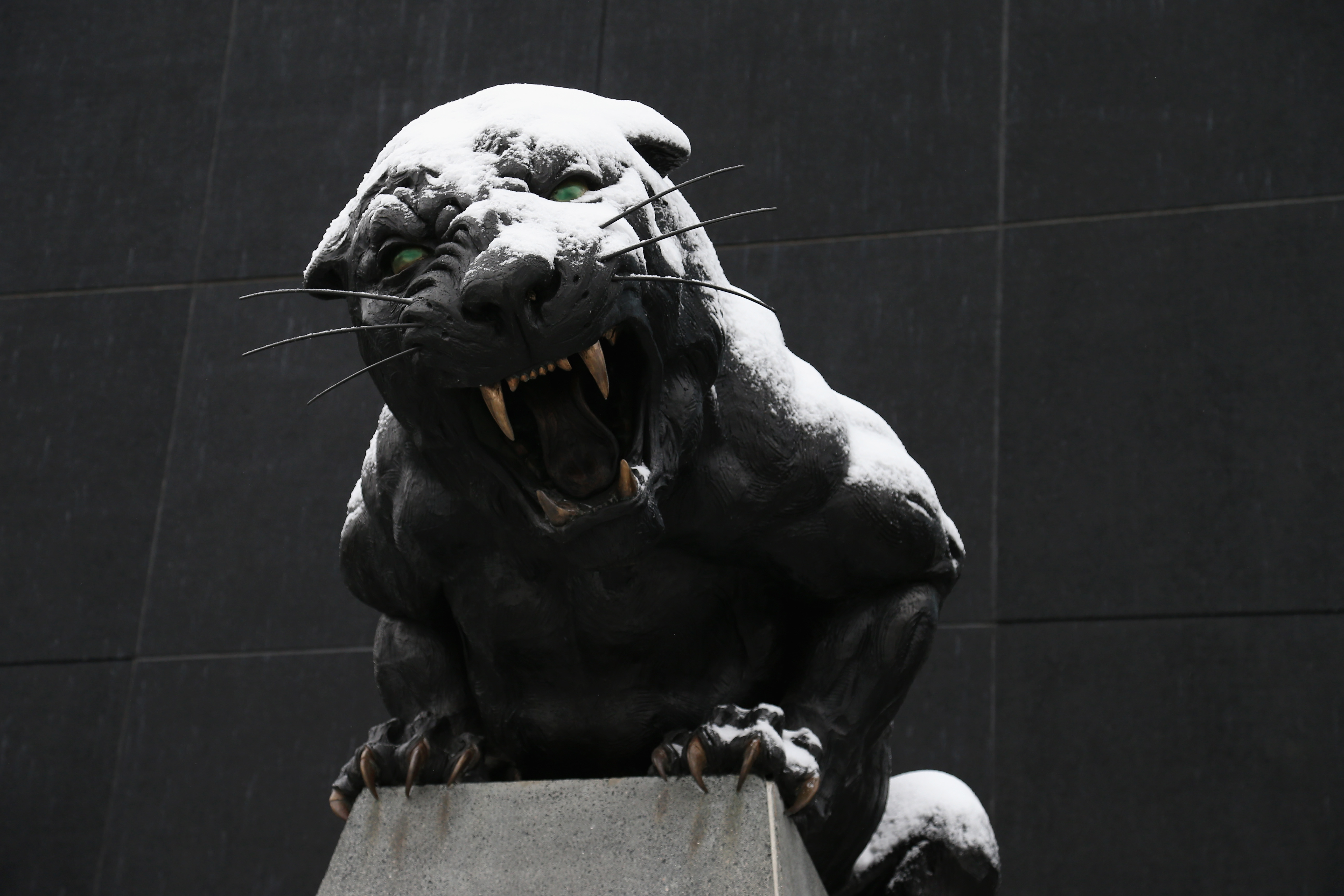 Southern States First To Feel Effects Of Massive Winter Storm