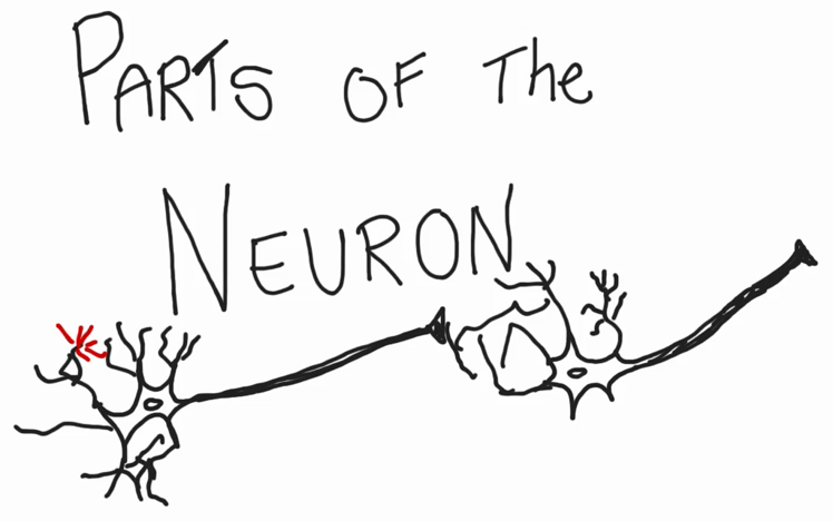 Image with missing alt attribute found on educreations.com