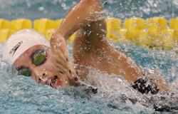 Image with missing alt attribute found on mnfootballhub.com