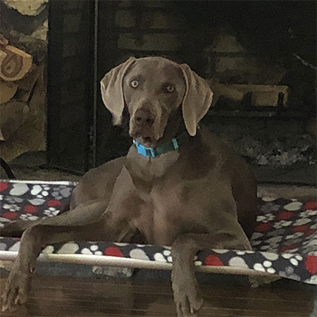 Image with missing alt attribute found on kuranda.com