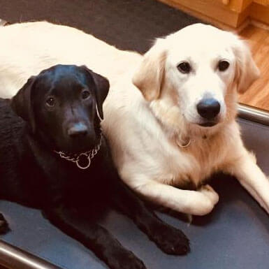 Image with missing alt attribute found on kuranda.com