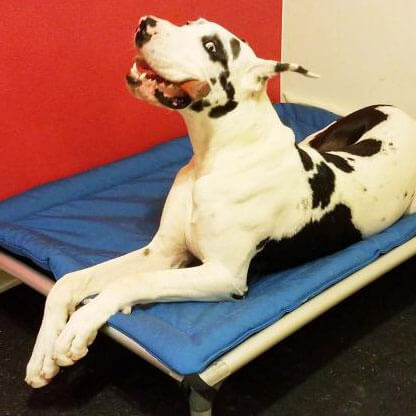 Image with missing alt attribute found on kuranda.com