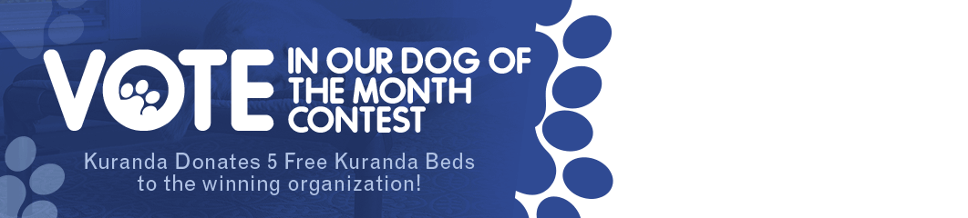 Image with missing alt attribute found on kuranda.com