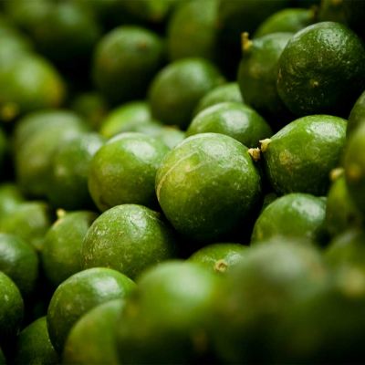 Image with missing alt attribute found on actitudfem.com