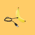 Image with missing alt attribute found on geckoandfly.com