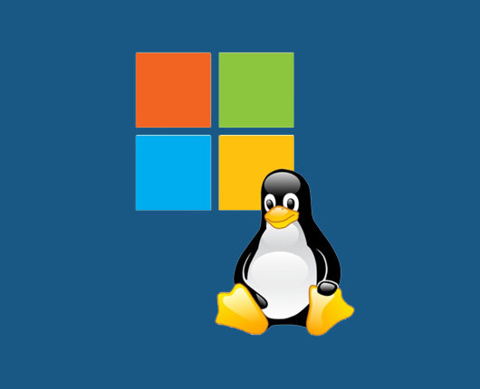 Image with missing alt attribute found on geckoandfly.com