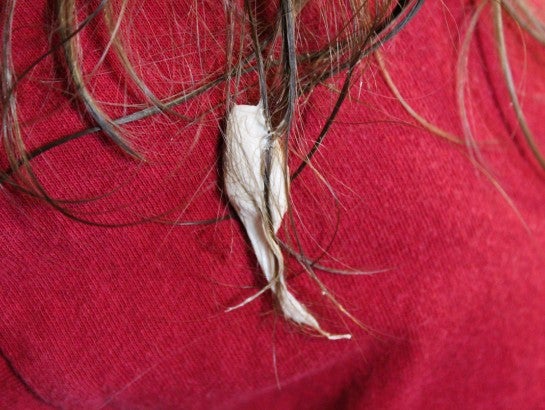 &iquest;C&oacute;mo quitar un chicle pegado en el cabello?