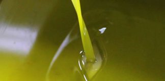 Image with missing alt attribute found on webmanagercenter.com