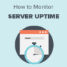 How to Monitor Server Uptime in WordPress