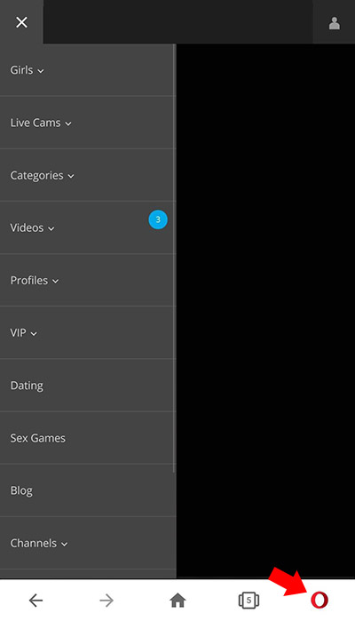 opera cam2cam step 0